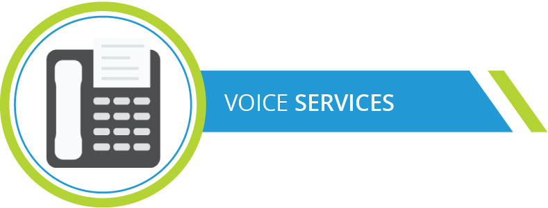 Voice-services